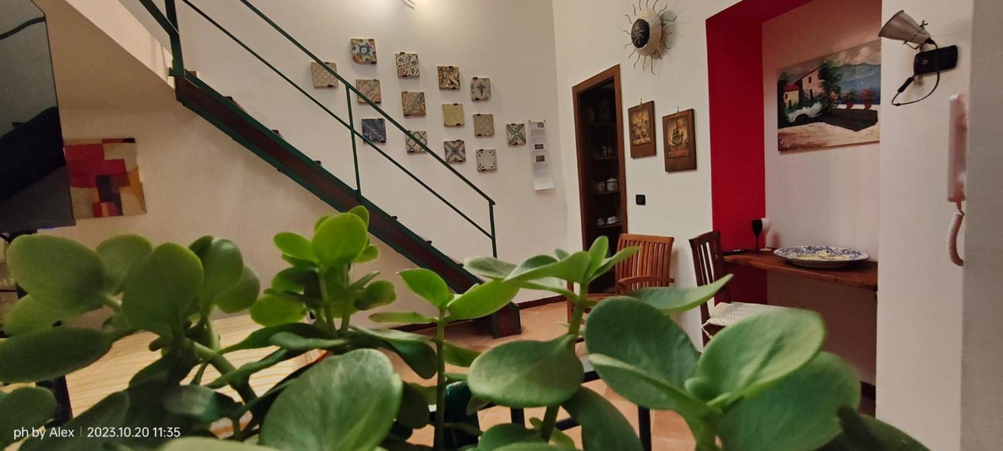 Segreta Catalana Apartment Naples Luaran gambar